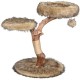 Designer Scratching Tree Post with Natural Trunks and Play Balls, Cat Furniture with Jute Scratching Posts and Plush Lying Areas Designer Scratching Tree Post with Natural Trunks and Play Balls, Cat Furniture with Jute Scratching Posts and Plush Lying Areas