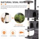 FDW Cat Scratching Tree, Height 139 cm, Play Tower for Cats with 2 Caves, 3 Platforms, 2 Sisal Balls, Climbing Tree, Multiple Levels, Ideal for 3-4 Cats, Grey/Navy FDW Cat Scratching Tree, Height 139 cm, Play Tower for Cats with 2 Caves, 3 Platforms, 2 Sisal Balls, Climbing Tree, Multiple Levels, Ideal for 3-4 Cats, Grey/Navy