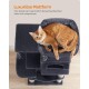 Feandrea Cat Scratching Post, 112cm High, Multi Level Cat Tree with 4 Scratching Posts, 2 Platforms, Hammock, Cave, Smoke Grey, PCT261G01 Feandrea Cat Scratching Post, 112cm High, Multi Level Cat Tree with 4 Scratching Posts, 2 Platforms, Hammock, Cave, Smoke Grey, PCT261G01