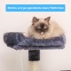 Hey-brother EMPJ020-SW Cat Scratching Post for Large Cats Stable with Sisal Rope, 2 Large Houses and 2 Platforms, Light Grey