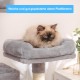Hey-brother EMPJ020-SW Cat Scratching Post for Large Cats Stable with Sisal Rope, 2 Large Houses and 2 Platforms, Light Grey