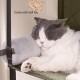 MENDUNER Door Mounted Cat Climber, 420D Nylon, Space Saving Solution, Foldable with Removable Cushion, Interactive Toy with Bells MENDUNER Door Mounted Cat Climber, 420D Nylon, Space Saving Solution, Foldable with Removable Cushion, Interactive Toy with Bells