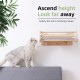 MIUZMORE Pine Cat Wall Shelves, Set of 5 Cat Wall Furniture, Cat Scratching Post with 3 Levels, Cat Perch, Cat House and Cat House, 4 Cat Toys - Cat Shelves for Wall MIUZMORE Pine Cat Wall Shelves, Set of 5 Cat Wall Furniture, Cat Scratching Post with 3 Levels, Cat Perch, Cat House and Cat House, 4 Cat Toys - Cat Shelves for Wall