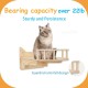 MIUZMORE Pine Cat Wall Shelves, Set of 5 Cat Wall Furniture, Cat Scratching Post with 3 Levels, Cat Perch, Cat House and Cat House, 4 Cat Toys - Cat Shelves for Wall MIUZMORE Pine Cat Wall Shelves, Set of 5 Cat Wall Furniture, Cat Scratching Post with 3 Levels, Cat Perch, Cat House and Cat House, 4 Cat Toys - Cat Shelves for Wall