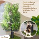 Natural Scratching Post for Climbing, Hiding and Sleeping - Large with Interchangeable Leaves - Multi-Stage, Easy to Assemble - Pet-Safe Materials, Durable and Patented Robust Cat Tree