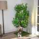 Natural Scratching Post for Climbing, Hiding and Sleeping - Large with Interchangeable Leaves - Multi-Stage, Easy to Assemble - Pet-Safe Materials, Durable and Patented Robust Cat Tree