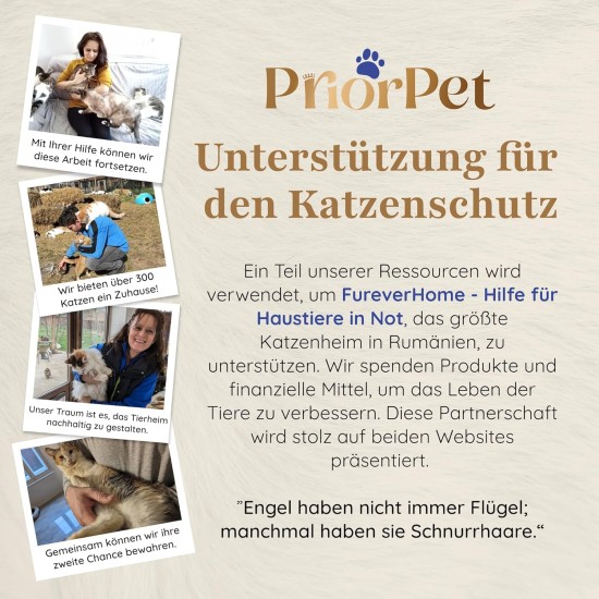 Natural Scratching Post for Climbing, Hiding and Sleeping - Large with Interchangeable Leaves - Multi-Stage, Easy to Assemble - Pet-Safe Materials, Durable and Patented Robust Cat Tree Natural Scratching Post for Climbing, Hiding and Sleeping - Large with Interchangeable Leaves - Multi-Stage, Easy to Assemble - Pet-Safe Materials, Durable and Patented Robust Cat Tree