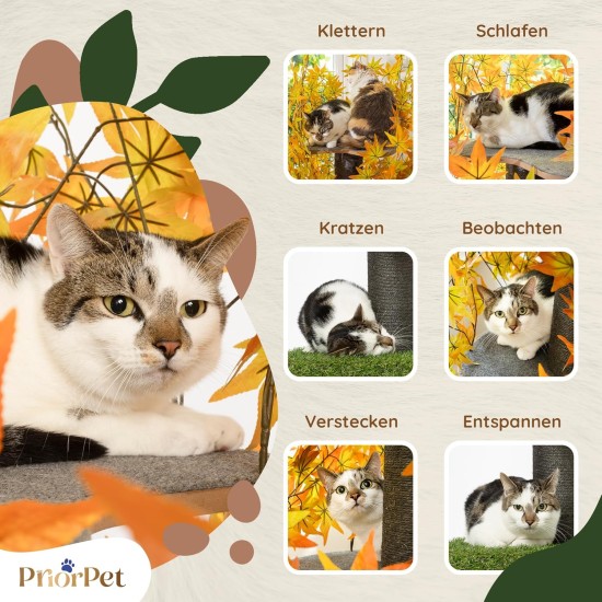 Natural Scratching Post for Climbing, Hiding and Sleeping - Large with Interchangeable Leaves - Multi-Stage, Easy to Assemble - Pet-Safe Materials, Durable and Patented Robust Cat Tree Natural Scratching Post for Climbing, Hiding and Sleeping - Large with Interchangeable Leaves - Multi-Stage, Easy to Assemble - Pet-Safe Materials, Durable and Patented Robust Cat Tree
