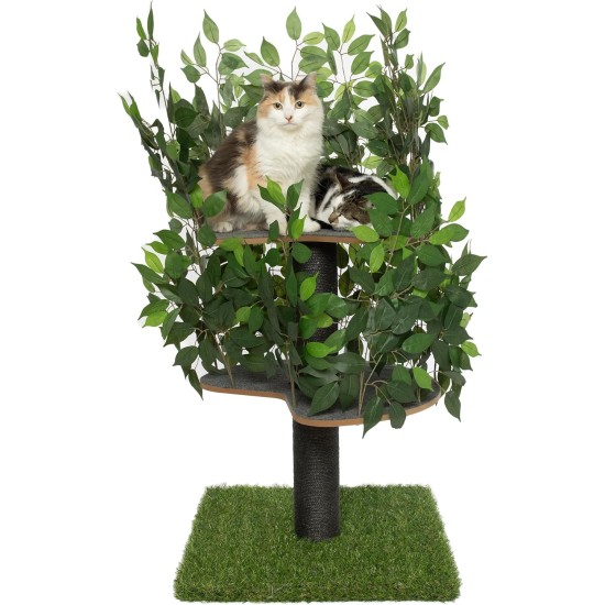 Natural Scratching Post for Climbing, Hiding and Sleeping - Large with Interchangeable Leaves - Multi-Stage, Easy to Assemble - Pet-Safe Materials, Durable and Patented Robust Cat Tree Natural Scratching Post for Climbing, Hiding and Sleeping - Large with Interchangeable Leaves - Multi-Stage, Easy to Assemble - Pet-Safe Materials, Durable and Patented Robust Cat Tree