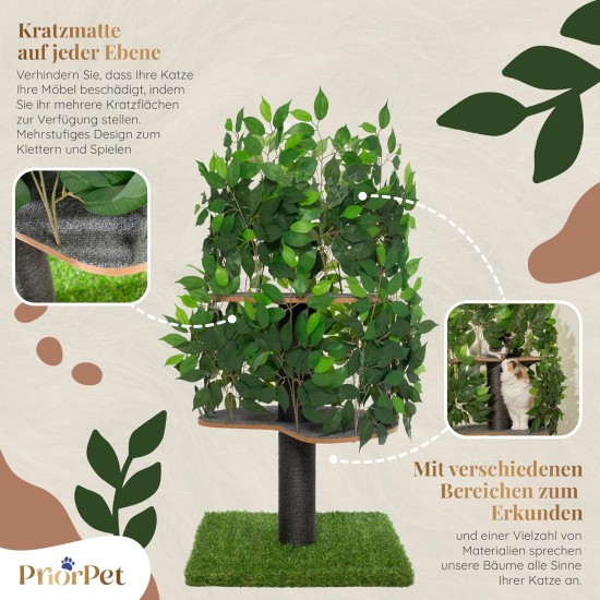 Natural Scratching Post for Climbing, Hiding and Sleeping - Large with Interchangeable Leaves - Multi-Stage, Easy to Assemble - Pet-Safe Materials, Durable and Patented Robust Cat Tree Natural Scratching Post for Climbing, Hiding and Sleeping - Large with Interchangeable Leaves - Multi-Stage, Easy to Assemble - Pet-Safe Materials, Durable and Patented Robust Cat Tree