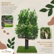 Natural Scratching Post for Climbing, Hiding and Sleeping - Large with Interchangeable Leaves - Multi-Stage, Easy to Assemble - Pet-Safe Materials, Durable and Patented Robust Cat Tree