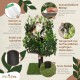 Natural Scratching Post for Climbing, Hiding and Sleeping - Large with Interchangeable Leaves - Multi-Stage, Easy to Assemble - Pet-Safe Materials, Durable and Patented Robust Cat Tree