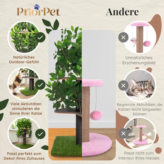 Natural Scratching Post for Climbing, Hiding and Sleeping - Large with Interchangeable Leaves - Multi-Stage, Easy to Assemble - Pet-Safe Materials, Durable and Patented Robust Cat Tree Natural Scratching Post for Climbing, Hiding and Sleeping - Large with Interchangeable Leaves - Multi-Stage, Easy to Assemble - Pet-Safe Materials, Durable and Patented Robust Cat Tree