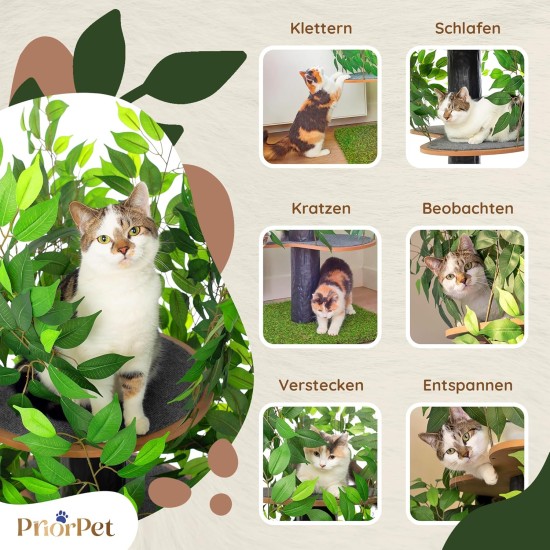Natural Scratching Post for Climbing, Hiding and Sleeping - Large with Interchangeable Leaves - Multi-Stage, Easy to Assemble - Pet-Safe Materials, Durable and Patented Robust Cat Tree Natural Scratching Post for Climbing, Hiding and Sleeping - Large with Interchangeable Leaves - Multi-Stage, Easy to Assemble - Pet-Safe Materials, Durable and Patented Robust Cat Tree