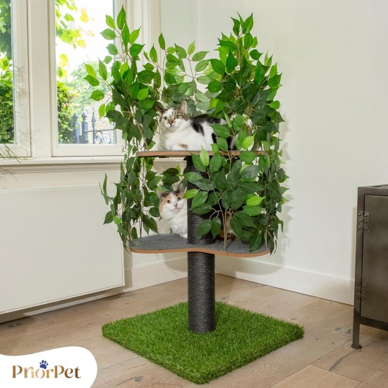 Natural Scratching Post for Climbing, Hiding and Sleeping - Large with Interchangeable Leaves - Multi-Stage, Easy to Assemble - Pet-Safe Materials, Durable and Patented Robust Cat Tree Natural Scratching Post for Climbing, Hiding and Sleeping - Large with Interchangeable Leaves - Multi-Stage, Easy to Assemble - Pet-Safe Materials, Durable and Patented Robust Cat Tree