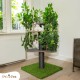 Natural Scratching Post for Climbing, Hiding and Sleeping - Large with Interchangeable Leaves - Multi-Stage, Easy to Assemble - Pet-Safe Materials, Durable and Patented Robust Cat Tree