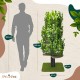 Natural Scratching Post for Climbing, Hiding and Sleeping - Large with Interchangeable Leaves - Multi-Stage, Easy to Assemble - Pet-Safe Materials, Durable and Patented Robust Cat Tree