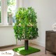 Natural Scratching Post for Climbing, Hiding and Sleeping - Large with Interchangeable Leaves - Multi-Stage, Easy to Assemble - Pet-Safe Materials, Durable and Patented Robust Cat Tree