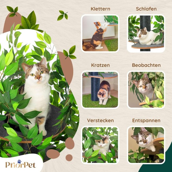 Natural Scratching Post for Climbing, Hiding and Sleeping - Large with Interchangeable Leaves - Multi-Stage, Easy to Assemble - Pet-Safe Materials, Durable and Patented Robust Cat Tree Natural Scratching Post for Climbing, Hiding and Sleeping - Large with Interchangeable Leaves - Multi-Stage, Easy to Assemble - Pet-Safe Materials, Durable and Patented Robust Cat Tree