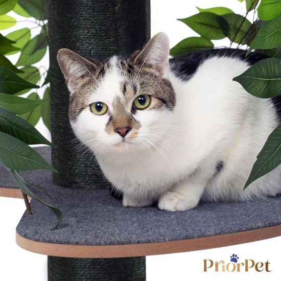 Natural Scratching Post for Climbing, Hiding and Sleeping - Large with Interchangeable Leaves - Multi-Stage, Easy to Assemble - Pet-Safe Materials, Durable and Patented Robust Cat Tree Natural Scratching Post for Climbing, Hiding and Sleeping - Large with Interchangeable Leaves - Multi-Stage, Easy to Assemble - Pet-Safe Materials, Durable and Patented Robust Cat Tree