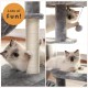 PAWZ Road Cat Scratching Post, Small Cat Tower [73 cm] with Large Hammock, 2 Types of Cat Activity Tree with Sisal Cat Scratching Post, Interactive Danging Ball for Indoor Cats, Beige