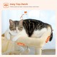 PAWZ Road Cat Scratching Post, Small Cat Tower [73 cm] with Large Hammock, 2 Types of Cat Activity Tree with Sisal Cat Scratching Post, Interactive Danging Ball for Indoor Cats, Beige