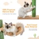 PAWZ Road Cat Tree, 5 Tier Floor to Ceiling Height Adjustable High Cat Climbing Activity Centre with Cat Scratching Post, Cozy Bed, Dangling Ball for Indoor Cats/Kittens, Beige PAWZ Road Cat Tree, 5 Tier Floor to Ceiling Height Adjustable High Cat Climbing Activity Centre with Cat Scratching Post, Cozy Bed, Dangling Ball for Indoor Cats/Kittens, Beige