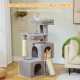PETEPELA Cat Scratching Post 104 cm with 2 Spacious Caves for Indoor Cats, Cat House with Comfortable Hammock, Padded Perch, Scratching Pad and Removable Play Ball, Black PETEPELA Cat Scratching Post 104 cm with 2 Spacious Caves for Indoor Cats, Cat House with Comfortable Hammock, Padded Perch, Scratching Pad and Removable Play Ball, Black