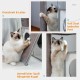 Petepela Cat Tree, Scratching Post, Cat Furniture with Sisal Rope, Plush Lounger, Hollow Playhouse, Toy for Cats, Grey Petepela Cat Tree, Scratching Post, Cat Furniture with Sisal Rope, Plush Lounger, Hollow Playhouse, Toy for Cats, Grey