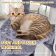 TINWEI Cat Tree with Cat Hut and Two Hammocks, Grey TINWEI Cat Tree with Cat Hut and Two Hammocks, Grey