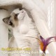 TWDEPART Cat Scratching Post for Indoor Cats, Activity Centre, Climbing Tree, Cat Furniture with Playful Toy Balls, Green