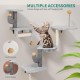YITAHOME 8 Pieces Cat Climbing Wall Set, Sturdy Plush Climbing Device for Cats, Cat Climbing Frame, Play Towers with Scratching Posts, Cat House, Cat Bridge, Cat Stairs and Hanging Ball, Light Grey YITAHOME 8 Pieces Cat Climbing Wall Set, Sturdy Plush Climbing Device for Cats, Cat Climbing Frame, Play Towers with Scratching Posts, Cat House, Cat Bridge, Cat Stairs and Hanging Ball, Light Grey