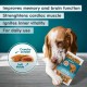 AmeizPet Dry Food Delicious Dog Biscuits, Hip and Joint Care Joint Supplement for Dogs, Pet Joint Chew Snacks for Puppies and Older Dogs 75 g (2.6 oz) AmeizPet Dry Food Delicious Dog Biscuits, Hip and Joint Care Joint Supplement for Dogs, Pet Joint Chew Snacks for Puppies and Older Dogs 75 g (2.6 oz)