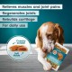 AmeizPet Dry Food Delicious Dog Biscuits, Hip and Joint Care Joint Supplement for Dogs, Pet Joint Chew Snacks for Puppies and Older Dogs 75 g (2.6 oz) AmeizPet Dry Food Delicious Dog Biscuits, Hip and Joint Care Joint Supplement for Dogs, Pet Joint Chew Snacks for Puppies and Older Dogs 75 g (2.6 oz)