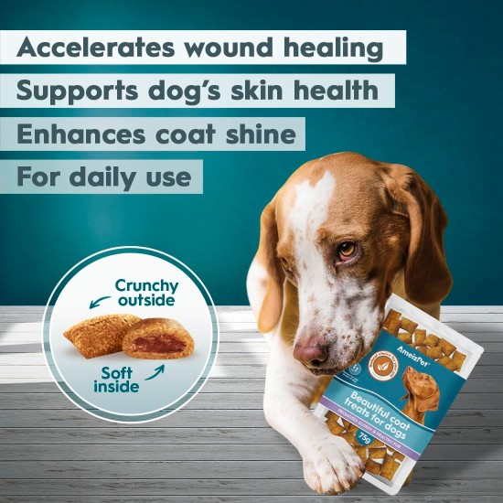 AmeizPet Dry Food Delicious Dog Biscuits, Hip and Joint Care Joint Supplement for Dogs, Pet Joint Chew Snacks for Puppies and Older Dogs 75 g (2.6 oz) AmeizPet Dry Food Delicious Dog Biscuits, Hip and Joint Care Joint Supplement for Dogs, Pet Joint Chew Snacks for Puppies and Older Dogs 75 g (2.6 oz)