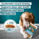 AmeizPet Dry Food Delicious Dog Biscuits, Hip and Joint Care Joint Supplement for Dogs, Pet Joint Chew Snacks for Puppies and Older Dogs 75 g (2.6 oz) AmeizPet Dry Food Delicious Dog Biscuits, Hip and Joint Care Joint Supplement for Dogs, Pet Joint Chew Snacks for Puppies and Older Dogs 75 g (2.6 oz)
