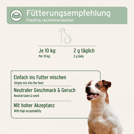 Aniforte Collamove Dog Marine Collagen Peptide 250g – Natural product for Dogs Aniforte Collamove Dog Marine Collagen Peptide 250g – Natural product for Dogs