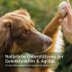 Aniforte Collamove Dog Marine Collagen Peptide 250g – Natural product for Dogs