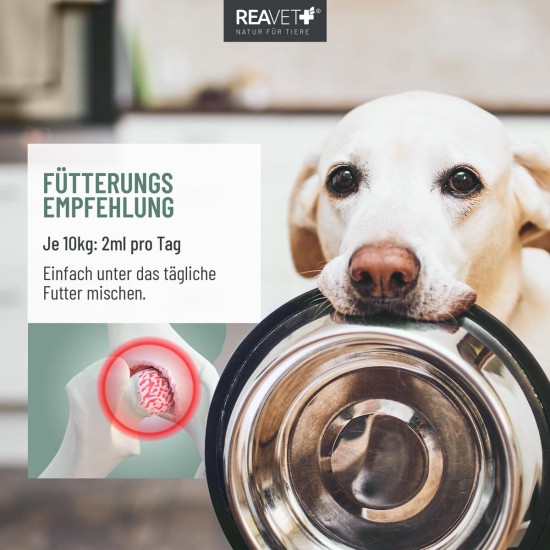 Arthro Joint Oil 500 ml for Dogs - To Support Joint Metabolism in Osteoarthritis (Osteoarthritis) I Joints Dog, Joint Complex Instead of Joint Tablets Arthro Joint Oil 500 ml for Dogs - To Support Joint Metabolism in Osteoarthritis (Osteoarthritis) I Joints Dog, Joint Complex Instead of Joint Tablets