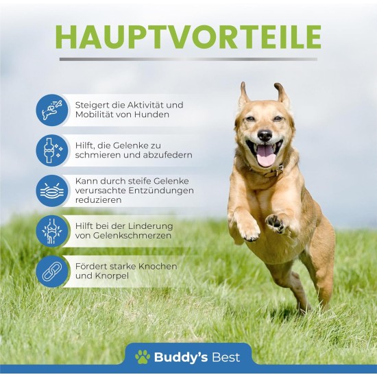 BUDDY'S Best 50 ml Joint & Bone Protection for Dogs - Pain Relief for Dogs - Joints Dog - Pain Relief Dog Joints - Joint Care Dog BUDDY'S Best 50 ml Joint & Bone Protection for Dogs - Pain Relief for Dogs - Joints Dog - Pain Relief Dog Joints - Joint Care Dog