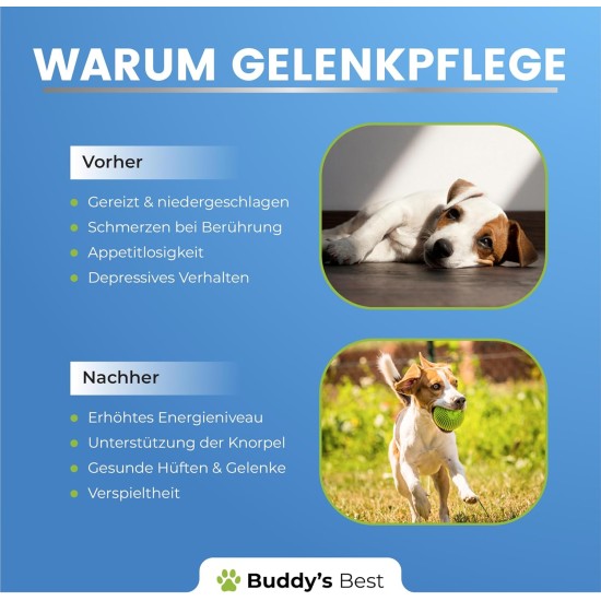 BUDDY'S Best 50 ml Joint & Bone Protection for Dogs - Pain Relief for Dogs - Joints Dog - Pain Relief Dog Joints - Joint Care Dog BUDDY'S Best 50 ml Joint & Bone Protection for Dogs - Pain Relief for Dogs - Joints Dog - Pain Relief Dog Joints - Joint Care Dog