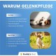 BUDDY'S Best 50 ml Joint & Bone Protection for Dogs - Pain Relief for Dogs - Joints Dog - Pain Relief Dog Joints - Joint Care Dog BUDDY'S Best 50 ml Joint & Bone Protection for Dogs - Pain Relief for Dogs - Joints Dog - Pain Relief Dog Joints - Joint Care Dog