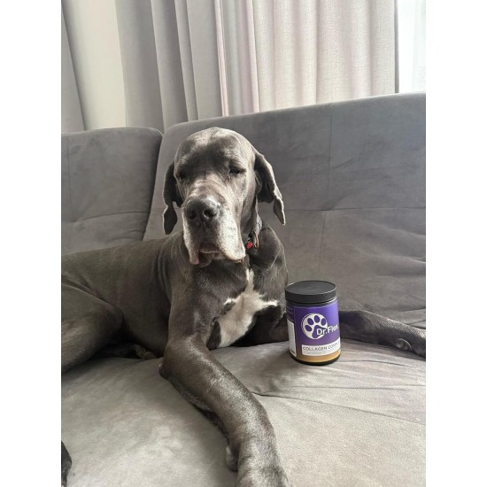 Collagen + Vitamin B Powder for Dogs - 300g - 4500mg Bovine Collagen & 500mg Marine Collagen Type I, II & III - Joint & Bone Protection with B1, B2, B3, B5, B6, B9, B12 Collagen + Vitamin B Powder for Dogs - 300g - 4500mg Bovine Collagen & 500mg Marine Collagen Type I, II & III - Joint & Bone Protection with B1, B2, B3, B5, B6, B9, B12