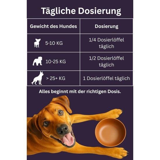 Collagen + Vitamin B Powder for Dogs - 300g - 4500mg Bovine Collagen & 500mg Marine Collagen Type I, II & III - Joint & Bone Protection with B1, B2, B3, B5, B6, B9, B12 Collagen + Vitamin B Powder for Dogs - 300g - 4500mg Bovine Collagen & 500mg Marine Collagen Type I, II & III - Joint & Bone Protection with B1, B2, B3, B5, B6, B9, B12