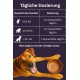 Collagen + Vitamin B Powder for Dogs - 300g - 4500mg Bovine Collagen & 500mg Marine Collagen Type I, II & III - Joint & Bone Protection with B1, B2, B3, B5, B6, B9, B12 Collagen + Vitamin B Powder for Dogs - 300g - 4500mg Bovine Collagen & 500mg Marine Collagen Type I, II & III - Joint & Bone Protection with B1, B2, B3, B5, B6, B9, B12