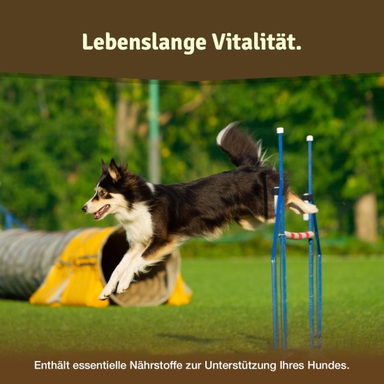 Comparison Winner Dog Joint Tablets Maximum Active Ingredient Dose with Green-Lipped Mussel MSM & Devil's Claw, Glucosamine & Collagen, 125 Capsules Comparison Winner Dog Joint Tablets Maximum Active Ingredient Dose with Green-Lipped Mussel MSM & Devil's Claw, Glucosamine & Collagen, 125 Capsules