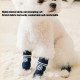 Dog Leg Brace, 4 Pack, Dog Elbow Protector, Dog Hind Leg Squat Brace, Joint Protection, Dirt Resistance, Stylish Letter Pattern, Pet Elbow Protective Cover, 4 Pack, Dog Elbow Dog Leg Brace, 4 Pack, Dog Elbow Protector, Dog Hind Leg Squat Brace, Joint Protection, Dirt Resistance, Stylish Letter Pattern, Pet Elbow Protective Cover, 4 Pack, Dog Elbow