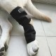 Dog Leg Support for Rear Ankle Joints, Dog Knee Brace for Torn Rear Hip, Support for Back Healing of Dogs, Support for Arthritis Wound Arthritis (Medium) Dog Leg Support for Rear Ankle Joints, Dog Knee Brace for Torn Rear Hip, Support for Back Healing of Dogs, Support for Arthritis Wound Arthritis (Medium)