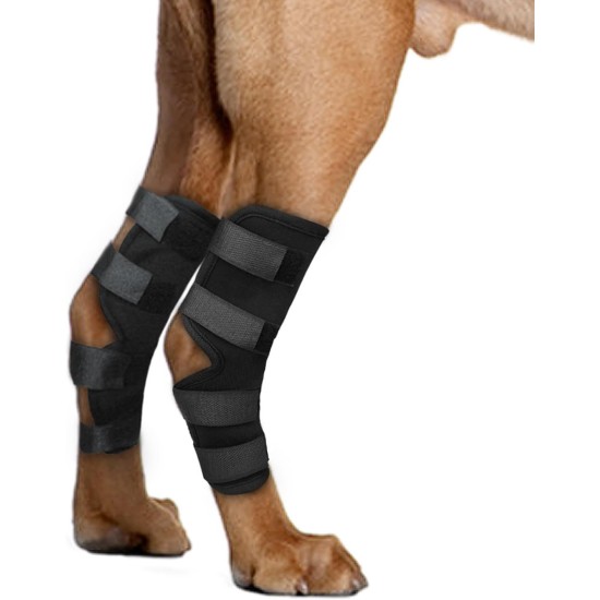 Dog Leg Support for Rear Ankle Joints, Dog Knee Brace for Torn Rear Hip, Support for Back Healing of Dogs, Support for Arthritis Wound Arthritis (Medium) Dog Leg Support for Rear Ankle Joints, Dog Knee Brace for Torn Rear Hip, Support for Back Healing of Dogs, Support for Arthritis Wound Arthritis (Medium)