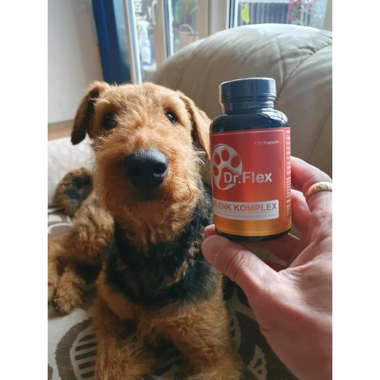 Dr. Flex Joint Tablets for Dogs - 110 High Dose Complex Capsules - with Glucosamine, Chondroitin, MSM, Turmeric, Hyaluronic Acid & Piperine - For Bones, Joints & Cartilage Dr. Flex Joint Tablets for Dogs - 110 High Dose Complex Capsules - with Glucosamine, Chondroitin, MSM, Turmeric, Hyaluronic Acid & Piperine - For Bones, Joints & Cartilage
